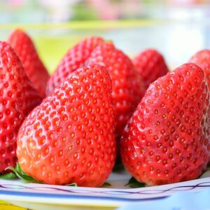 Erdbeeren