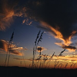 Santa Rosa Island, Florida, USA