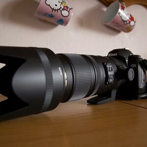 Sigma 70-200 F 2,8 EX DG OS HSM mit Nikon D70