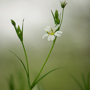 291024blumenwald