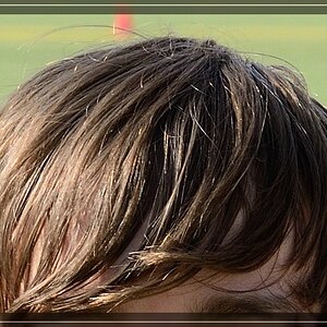 100 Crop vorher