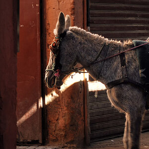 Marrakech