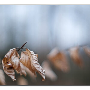 bokeh2