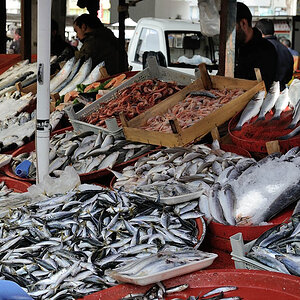 Manavgat2013 Antalya BelDSC 0607 10077 597