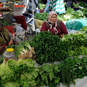 Manavgat2013 Antalya BelDSC 0617 10087 603