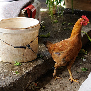 Manavgat2013 Antalya BelDSC 0654 10124 620