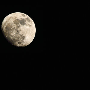 Mond