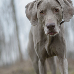1201024bo