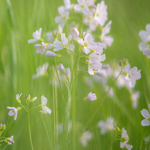 20130429 184111