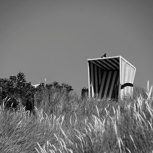 DSC 4900 DxO 2