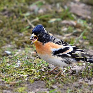 DSC 8157 khg
