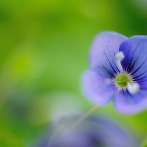 2013 04 29 5593 D 300S A