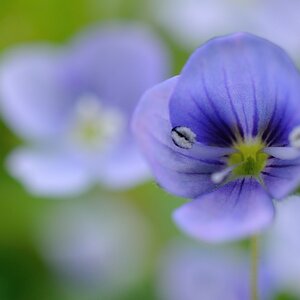 2013 04 29 5601 D 300S A