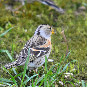 DSC 8192 khg