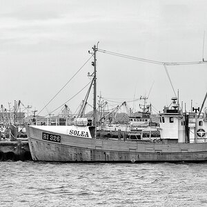 TZ ZIM 6052
