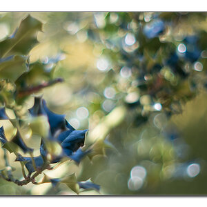 dof3