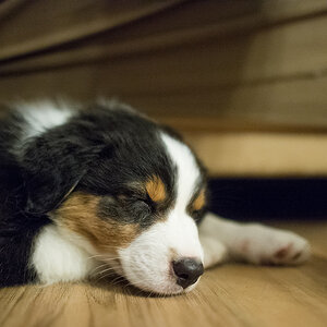 baby1