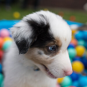 baby2