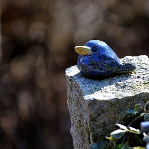 DSC 3397
200mm, 1/1600, 1:2.8, ISO 200