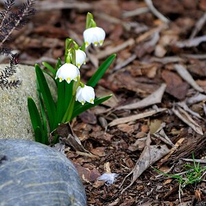 DSC 3427
200mm, 1/400, 1:2.8, ISO 200