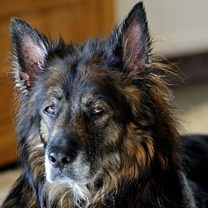 DSC 3491
105mm, 1/20, 1:2.8, ISO 200