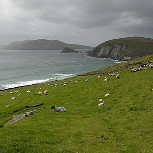 DSC 9462a
