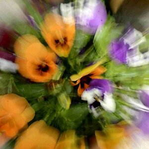 2013 April Zoom 009 01 01