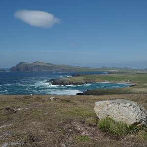 DSC 8674a