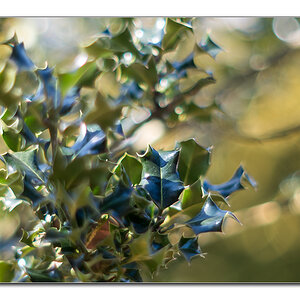 dof7