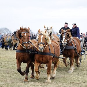 DSC2202