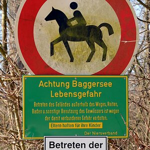 Pferde auf dem Eis?