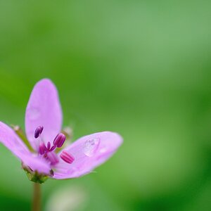 2013 04 30 5691 D 300S A