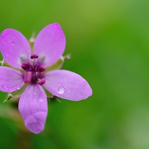 2013 04 30 5697 D 300S A