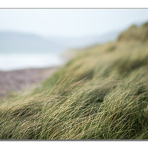 am strand2