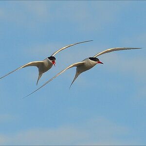 aacomp eidersperrwerk 20130504 0524