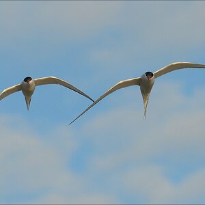 aacomp eidersperrwerk 20130504 0525
