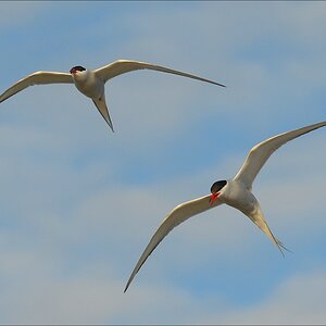 aacomp eidersperrwerk 20130504 0531