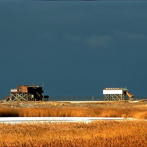 Strand SPO im Winter 6