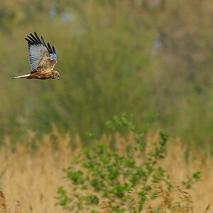 20130428 20930 [NIKON D2Xs] 500 mm,1 250 Sek. bei ƒ   6,3