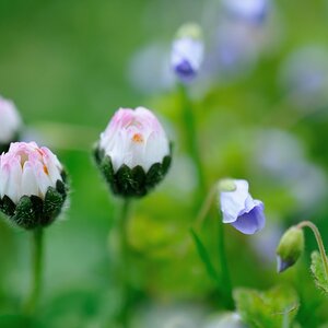 2013 04 30 5727 D 300S A