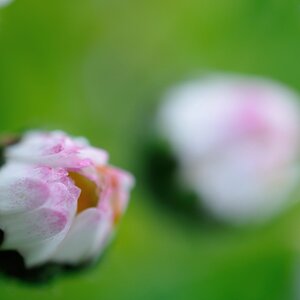 2013 04 30 5732 D 300S A