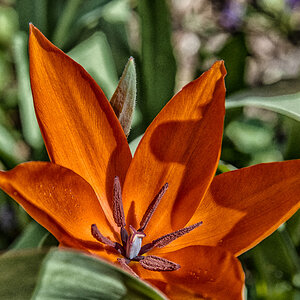 DSC0959 HDR 1