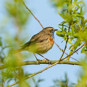 20130501 1931 [NIKON D7100] 500 mm,1 640 Sek. bei ƒ   8,0