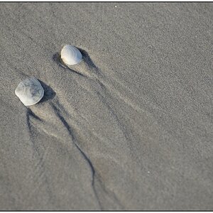 Schiermonnikoog 003