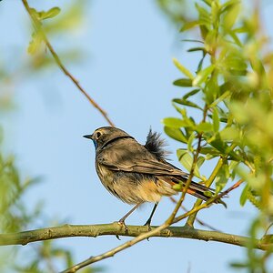 20130501 1935 [NIKON D7100] 500 mm,1 640 Sek. bei ƒ   8,0