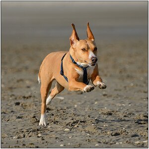 Schiermonnikoog 005
