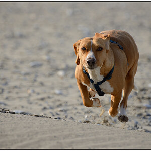 Schiermonnikoog 006