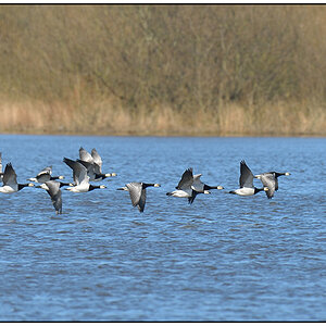 Schiermonnikoog 013