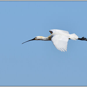 Schiermonnikoog 015