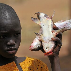 Junge mit Fische
5891